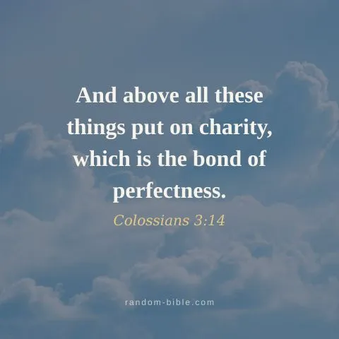 And above all these things put on charity, which is the bond of perfectness. — Colossians 3:14