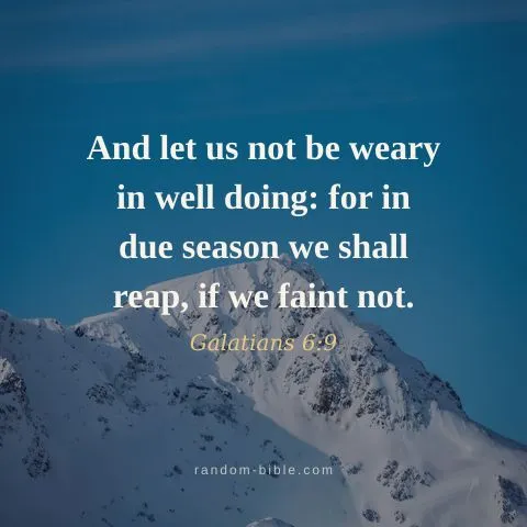 And let us not be weary in well doing: for in due season we shall reap, if we faint not. — Galatians 6:9