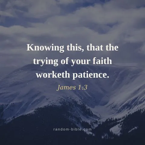 Knowing this, that the trying of your faith worketh patience. — James 1:3