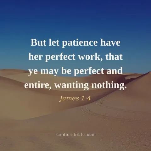But let patience have her perfect work, that ye may be perfect and entire, wanting nothing. — James 1:4