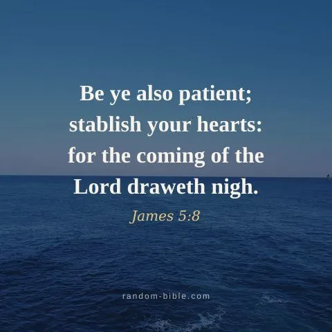 Be ye also patient; stablish your hearts: for the coming of the Lord draweth nigh. — James 5:8