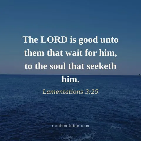 The LORD is good unto them that wait for him, to the soul that seeketh him. — Lamentations 3:25