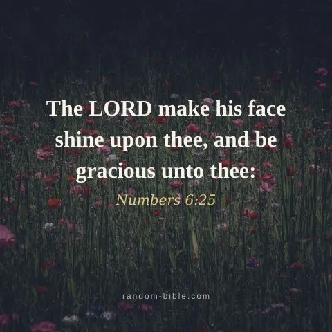 The LORD make his face shine upon thee, and be gracious unto thee: — Numbers 6:25