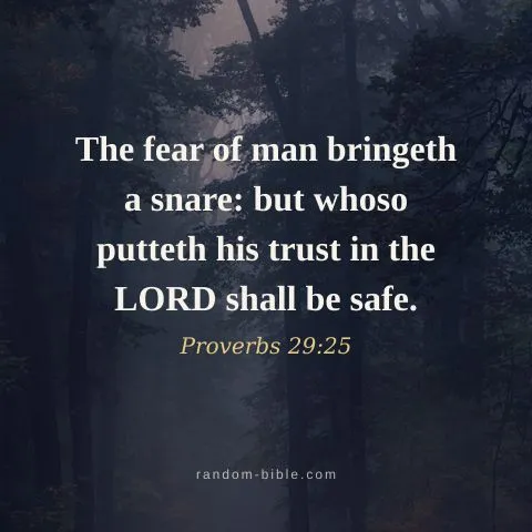 The fear of man bringeth a snare: but whoso putteth his trust in the LORD shall be safe. — Proverbs 29:25