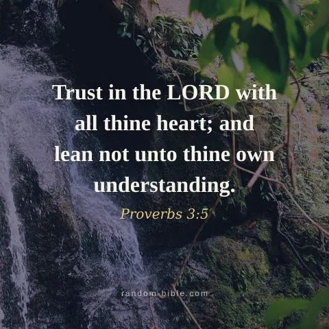Trust in the LORD with all thine heart; and lean not unto thine own understanding. — Proverbs 3:5
