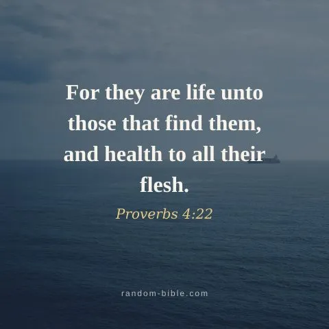 For they are life unto those that find them, and health to all their flesh. — Proverbs 4:22