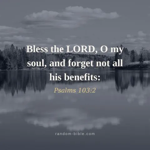 Bless the LORD, O my soul, and forget not all his benefits: — Psalms 103:2