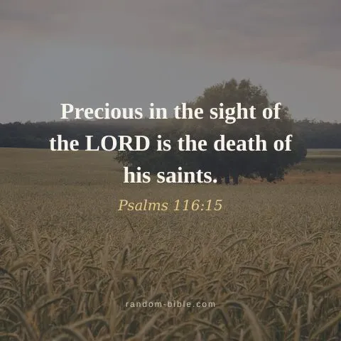 Precious in the sight of the LORD is the death of his saints. — Psalms 116:15