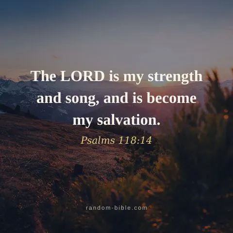 The LORD is my strength and song, and is become my salvation. — Psalms 118:14