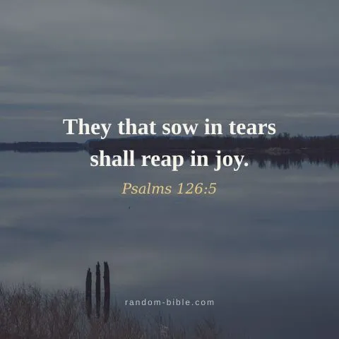 They that sow in tears shall reap in joy. — Psalms 126:5