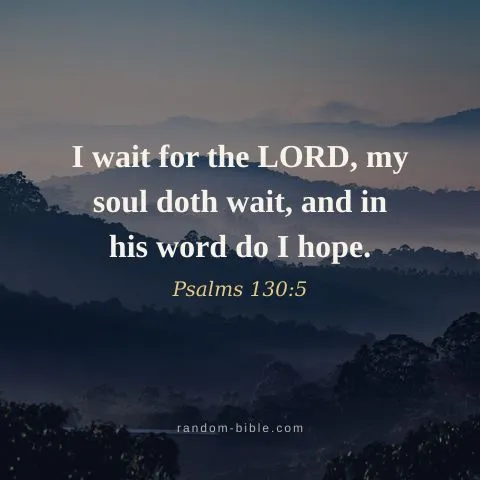 I wait for the LORD, my soul doth wait, and in his word do I hope. — Psalms 130:5