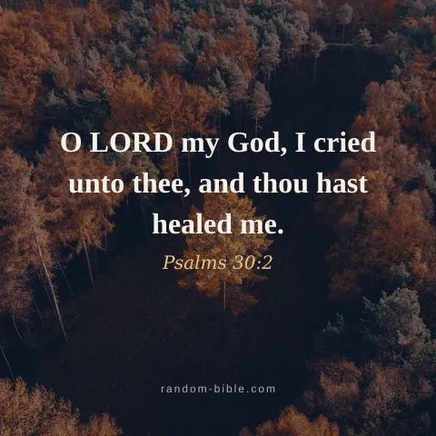 O LORD my God, I cried unto thee, and thou hast healed me. — Psalms 30:2