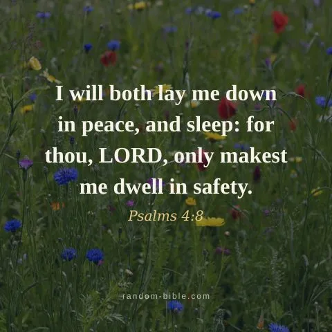 I will both lay me down in peace, and sleep: for thou, LORD, only makest me dwell in safety. — Psalms 4:8