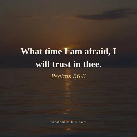 What time I am afraid, I will trust in thee. — Psalms 56:3