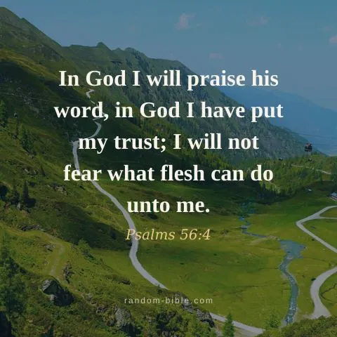 In God I will praise his word, in God I have put my trust; I will not fear what flesh can do unto me. — Psalms 56:4