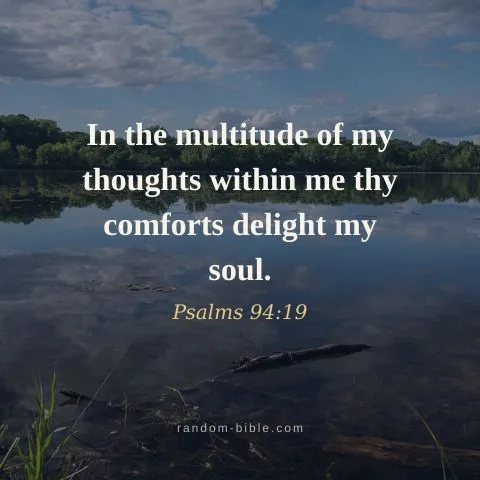 In the multitude of my thoughts within me thy comforts delight my soul. — Psalms 94:19