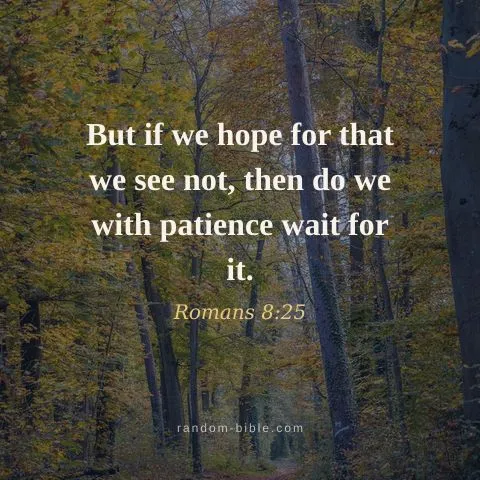 But if we hope for that we see not, then do we with patience wait for it. — Romans 8:25