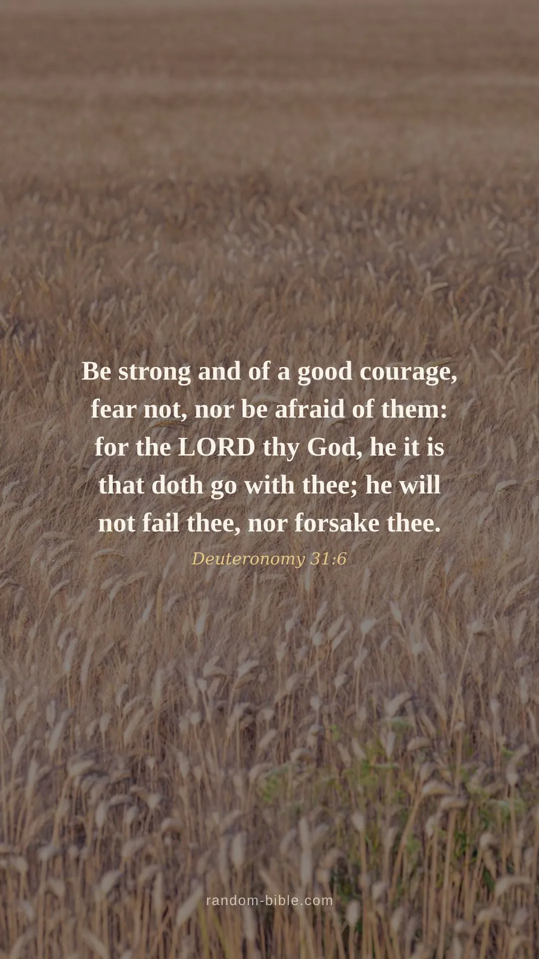 Deuteronomy 31:6 wallpaper — “Be strong and of a good courage, fear not, nor be afraid of them: for the LORD thy God, he it is that doth go with thee; he will not fail thee, nor forsake thee.” (KJV)