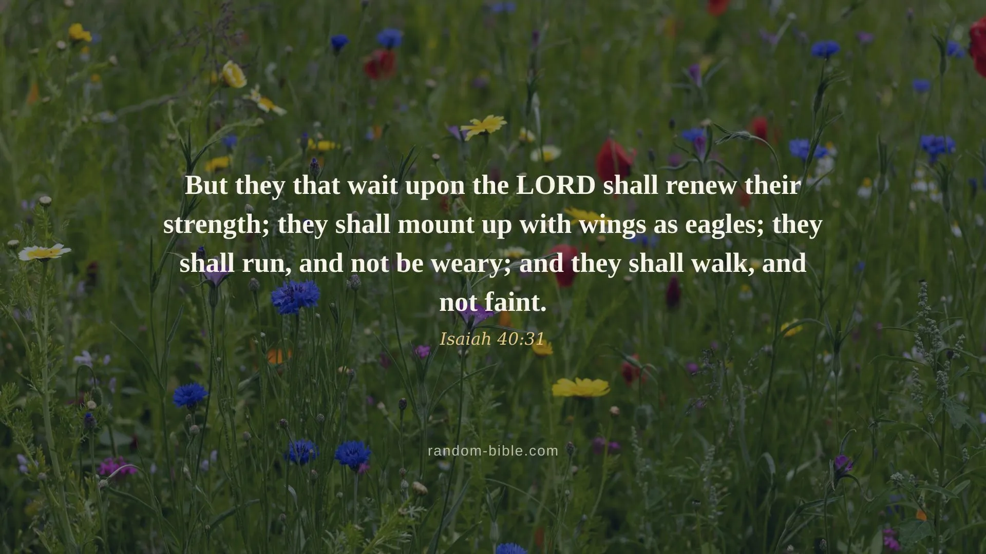 Isaiah 40:31 — desktop Bible verse wallpaper