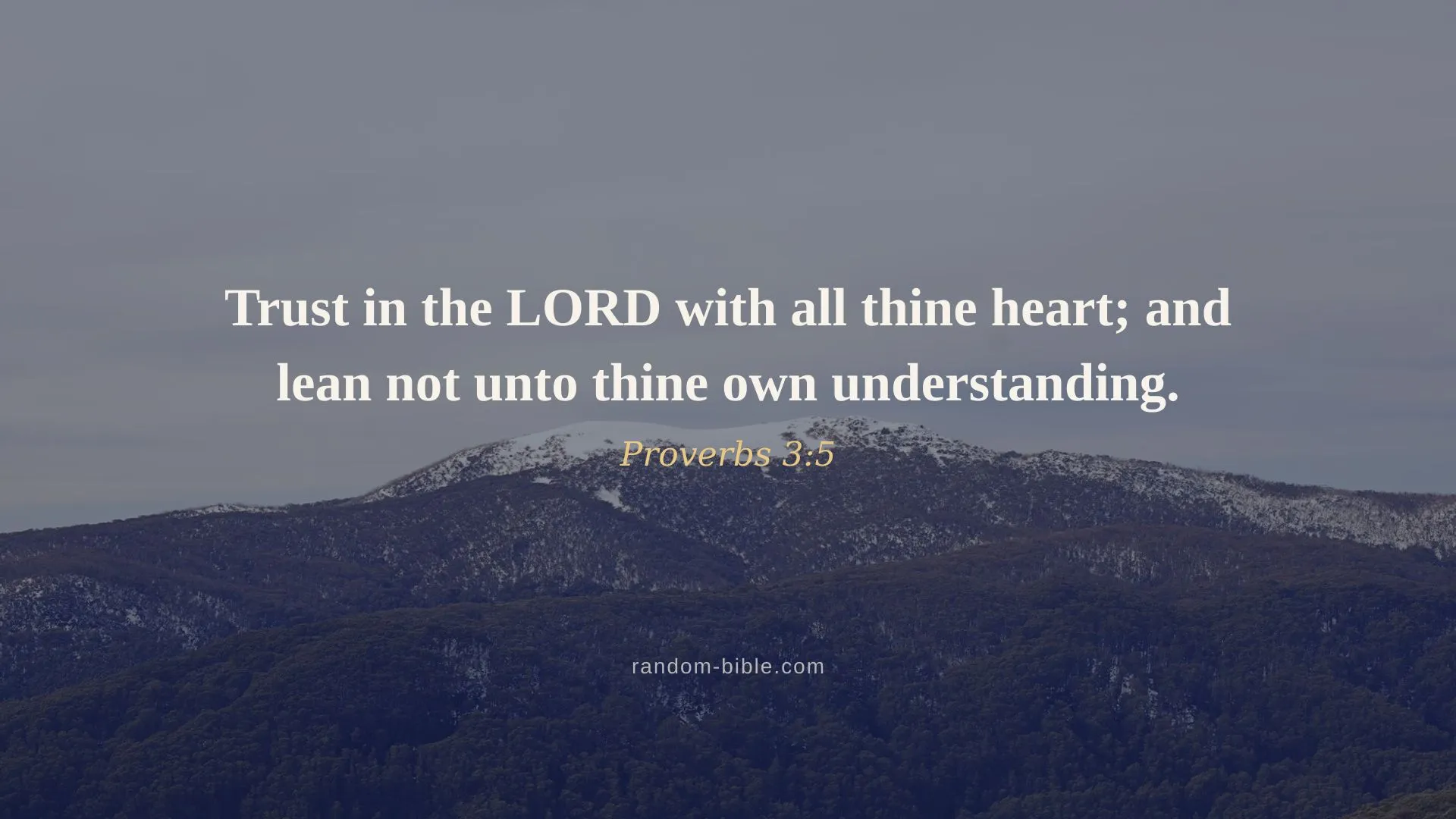 Proverbs 3:5 — desktop Bible verse wallpaper