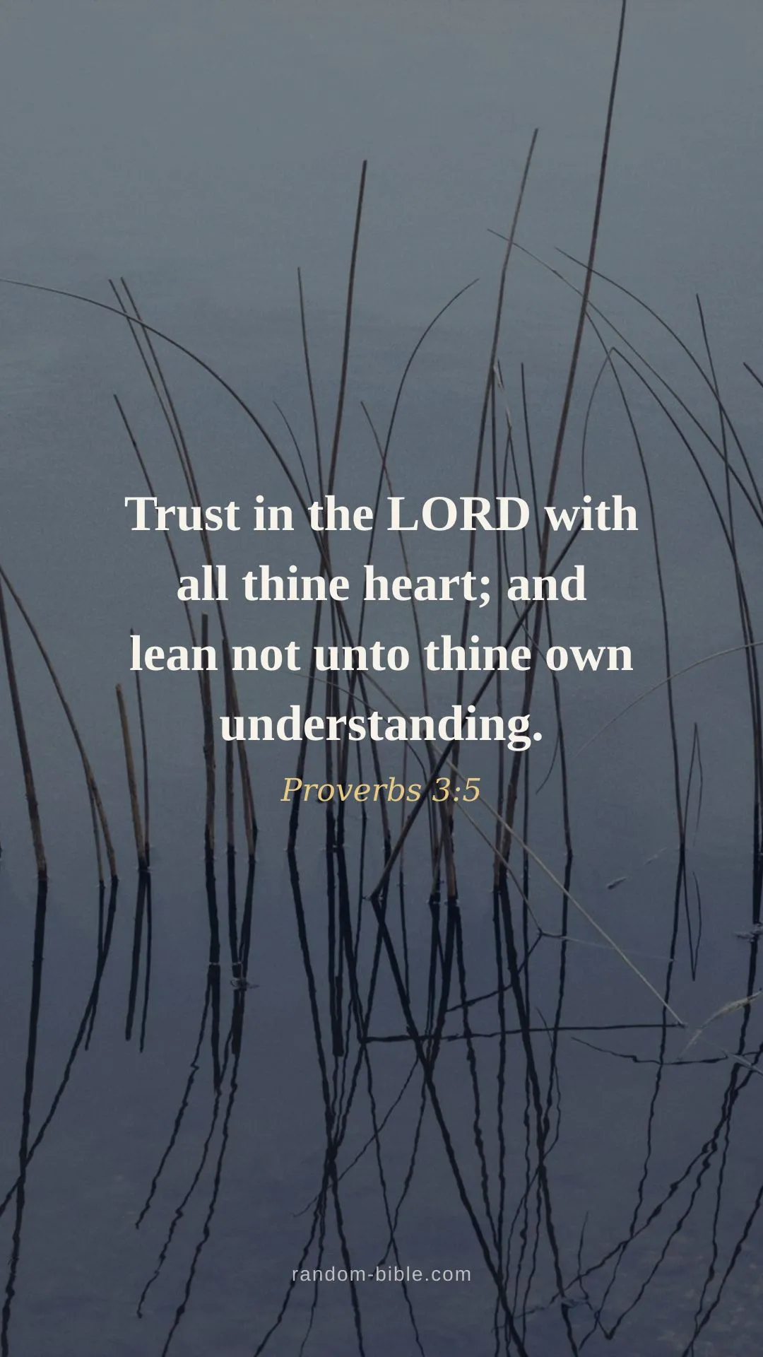 Proverbs 3:5 wallpaper — “Trust in the LORD with all thine heart; and lean not unto thine own understanding.” (KJV)