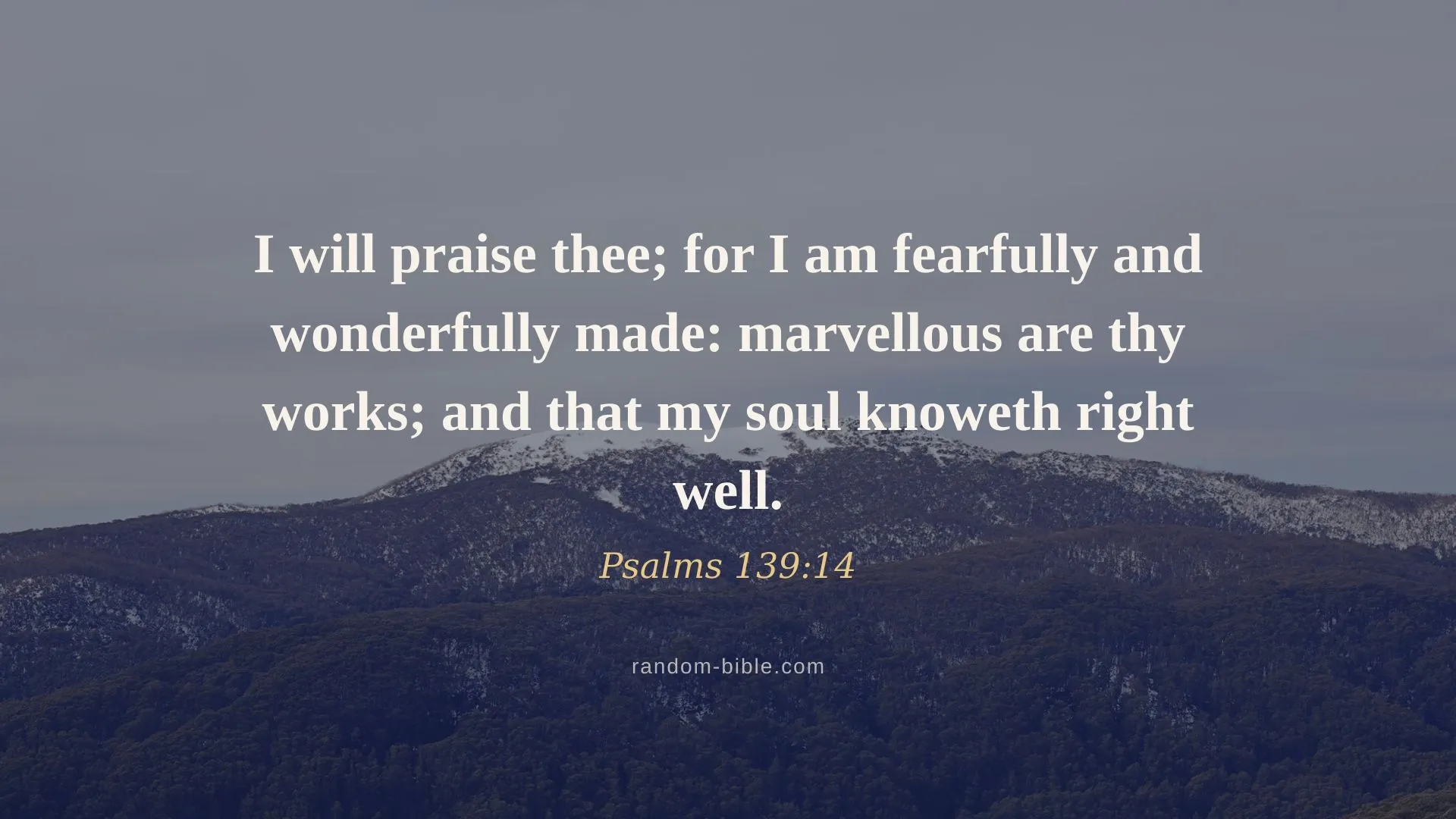Psalms 139:14 desktop wallpaper — “I will praise thee; for I am fearfully and wonderfully made: marvellous are thy works; and that my soul knoweth right well.” (KJV)