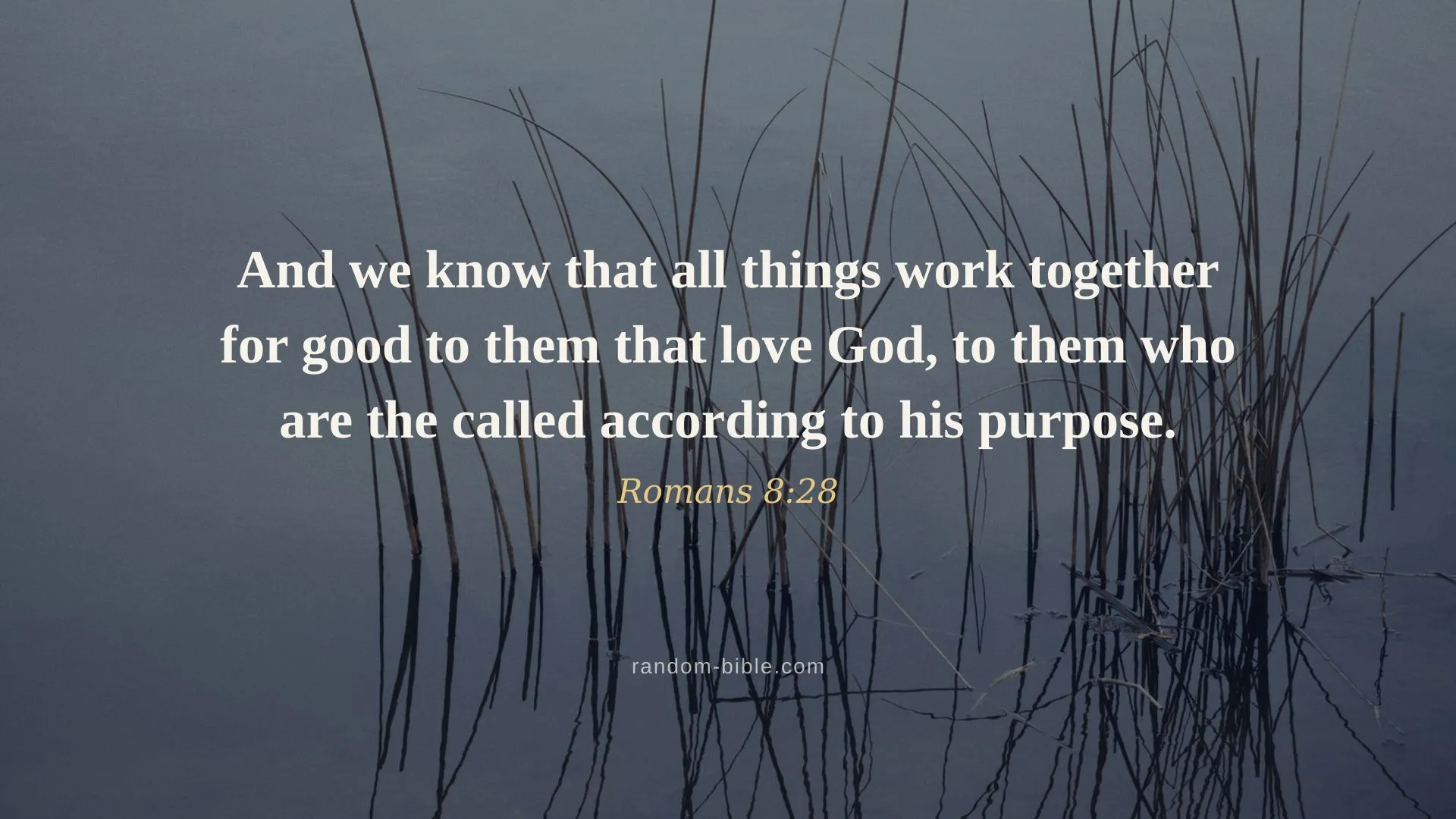 Romans 8:28 — Bible verse wallpaper